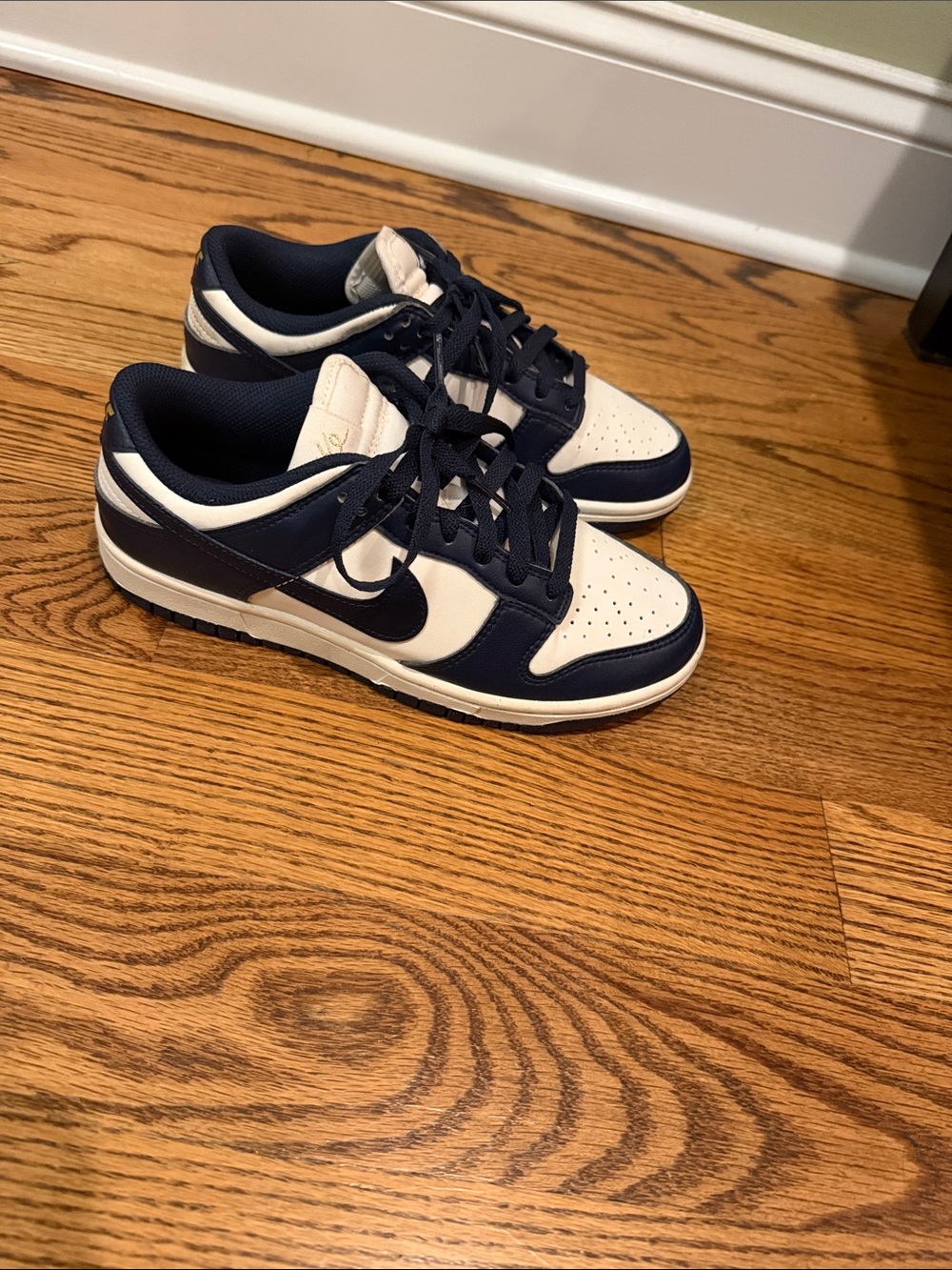 Nike Dunk Low Men's Sneakers in Navy and White